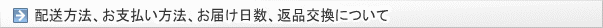 配送方法、お支払い方法、お届け日数、返品交換について